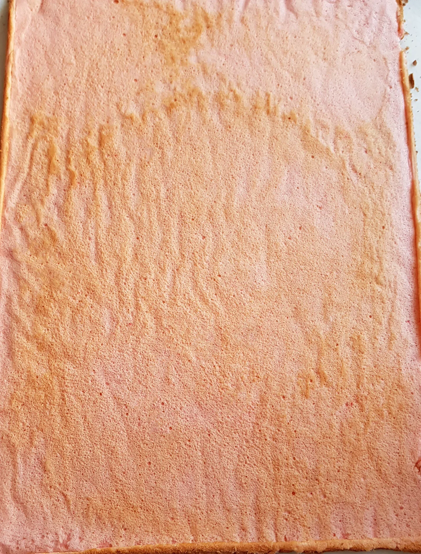Biscuit